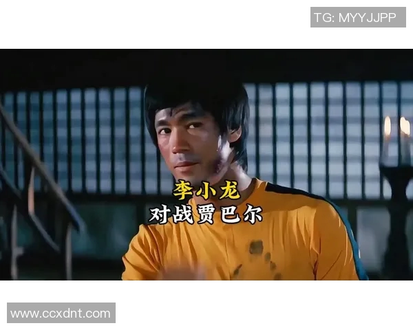 李小龙与贾巴尔的巅峰对决：武术与篮球的传奇碰撞